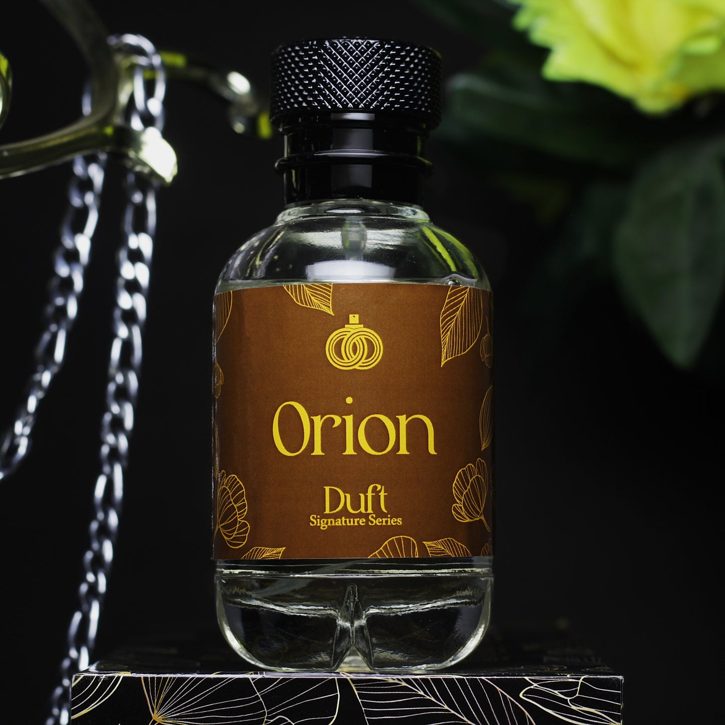 Orion